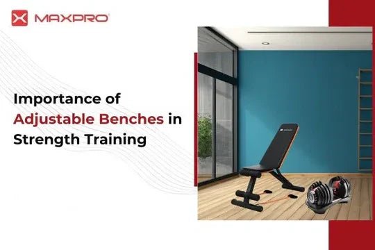 Importance of Adjustable Benches in Strength Training - Maxpro Fitness Equipments