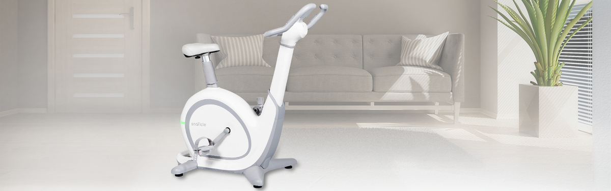 Buy SD01 SNAILCLE Smart Exercise Bike for all fitness levels at home